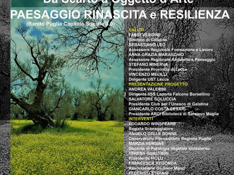 xylella, ulivo, Regione Puglia